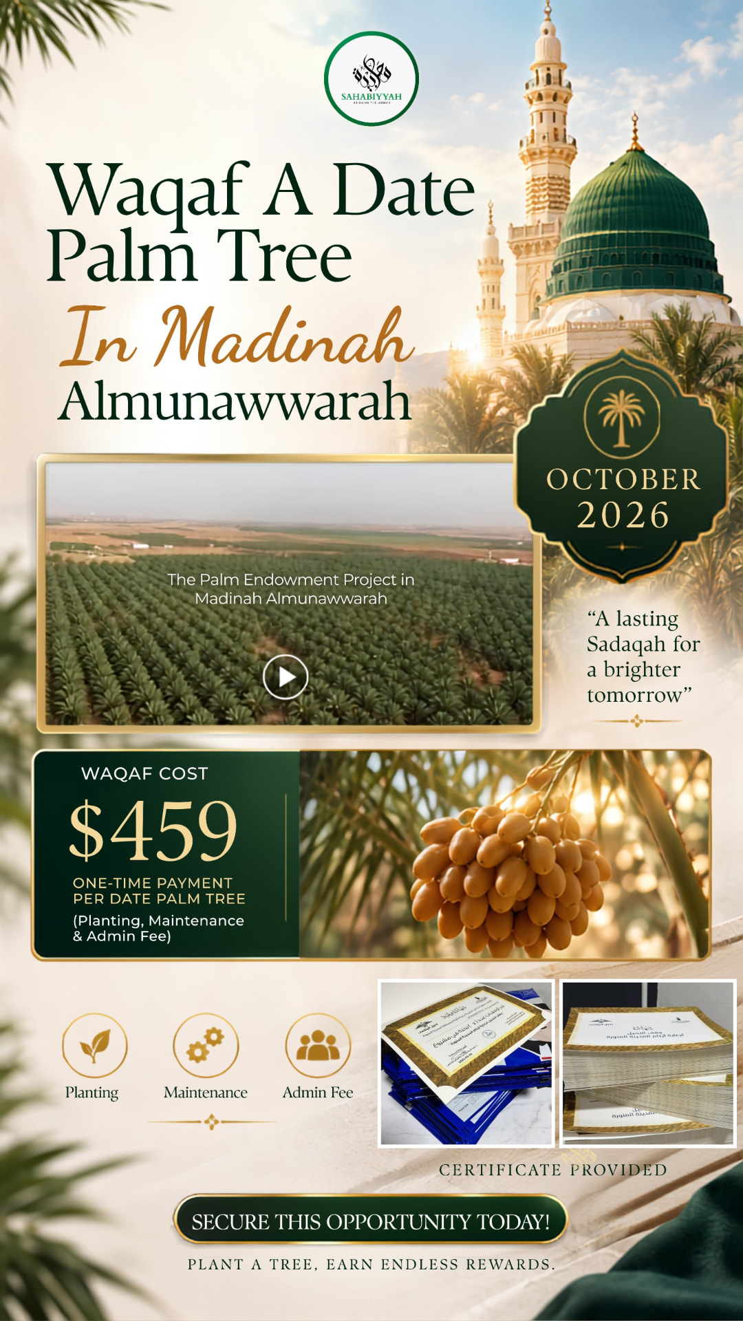 Waqaf A Date Palm Tree poster: date palm waqaf in Madinah Al-Munawwarah
